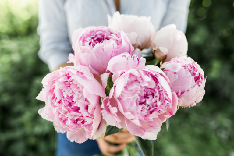 Daisylane Floral Design Seasonal Wedding Flowers Spring/Summer Peonies