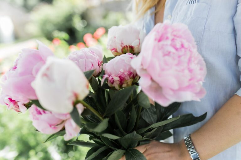 Bouquet of peonies