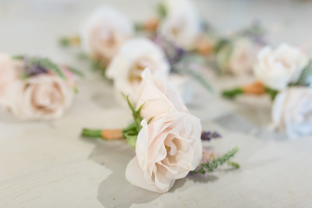 pale pink buttonholes Daisy Lane Floral Design